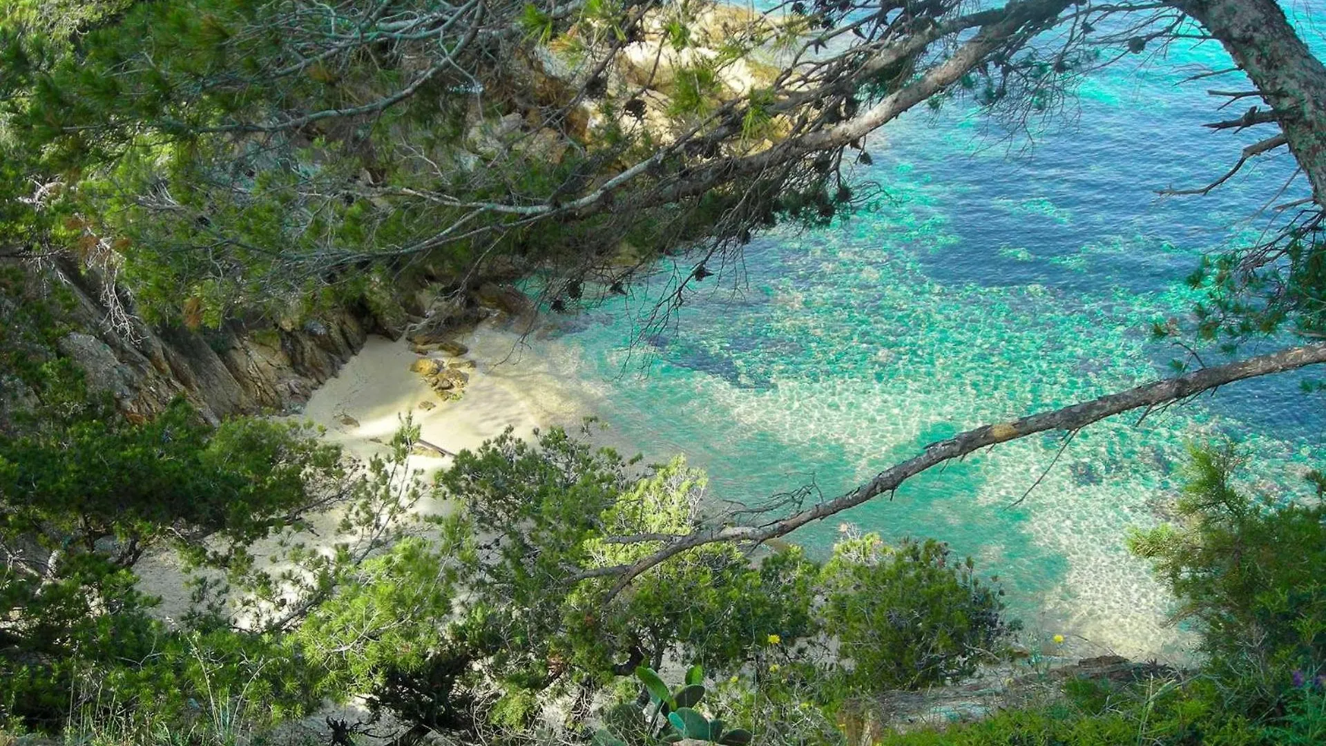 Appartamento Select'Sohome - Studio Pour 2 Personnes A Deux Pas Du Centre-Ville Du Lavandou Avec Parking Prive - Terrazza Le Lavandou